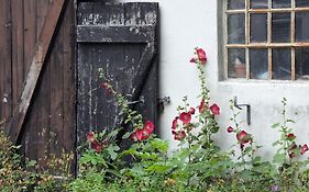 Lejlighed ved skov